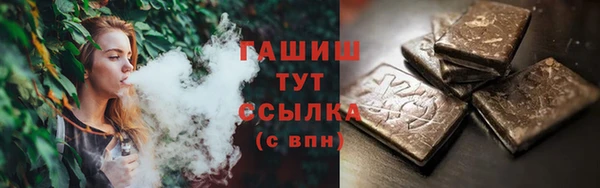 мдпв Богородицк
