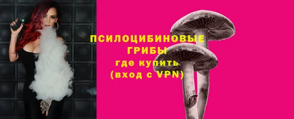 мдпв Богородицк