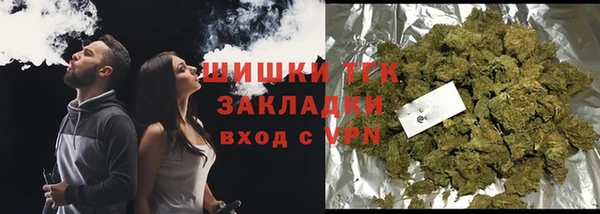 мдпв Богородицк