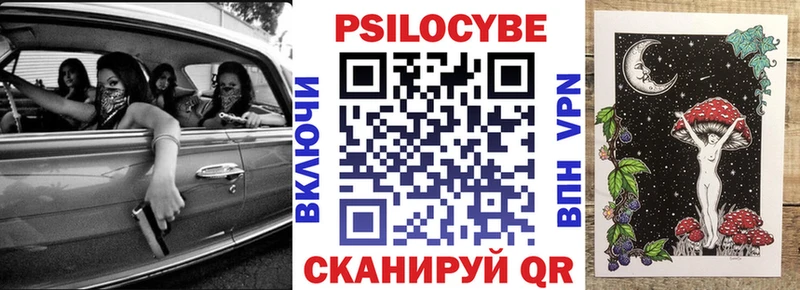 Псилоцибиновые грибы Psilocybe  Набережные Челны 